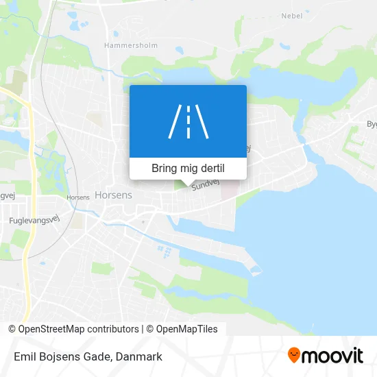 Emil Bojsens Gade kort