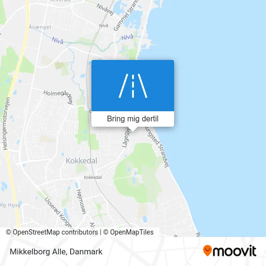 Mikkelborg Alle kort