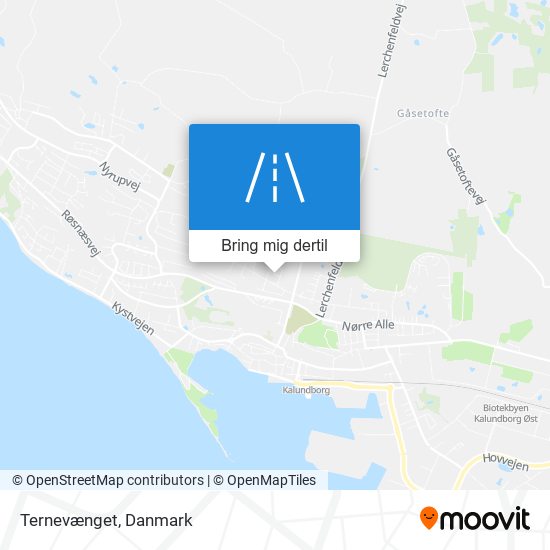 Ternevænget kort