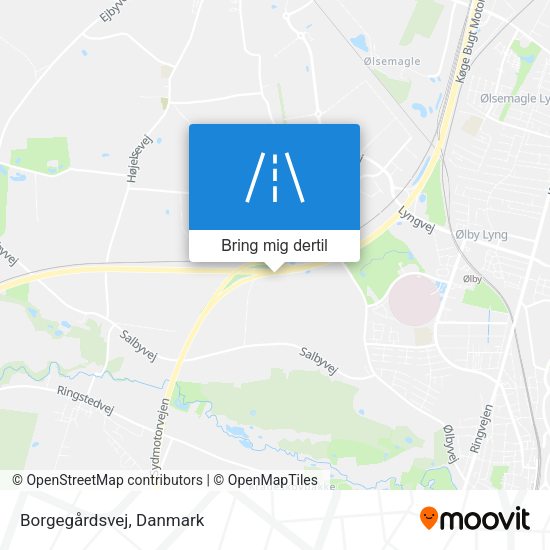 Borgegårdsvej kort