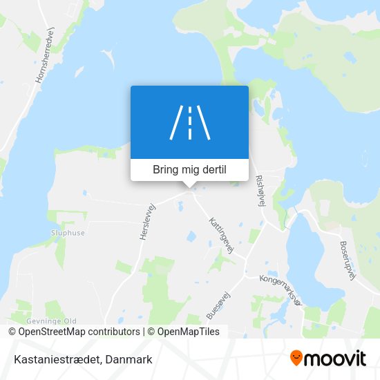 Kastaniestrædet kort