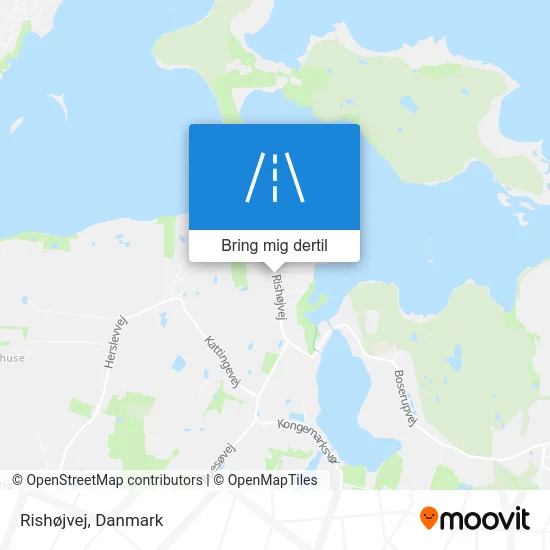 Rishøjvej kort