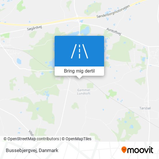 Bussebjergvej kort