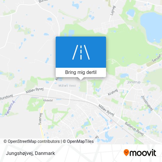 Jungshøjvej kort