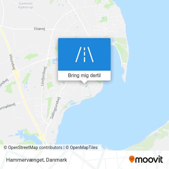 Hammervænget kort