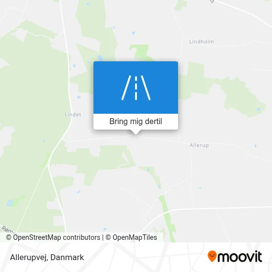 Allerupvej kort