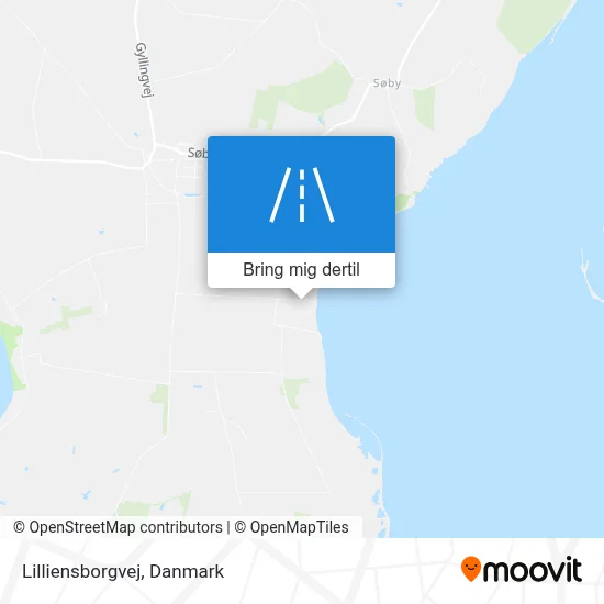 Lilliensborgvej kort