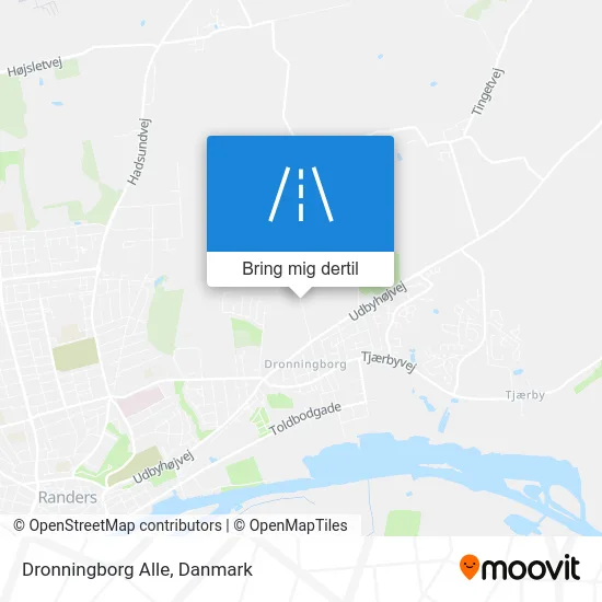 Dronningborg Alle kort