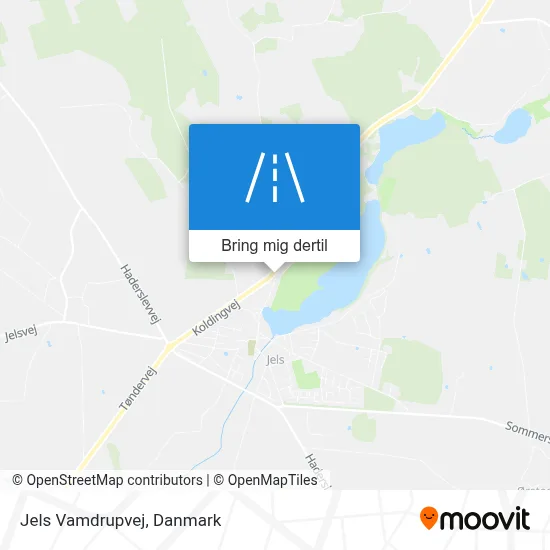 Jels Vamdrupvej kort