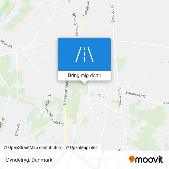 Dyndelryg kort