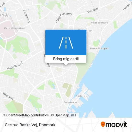 Gertrud Rasks Vej kort