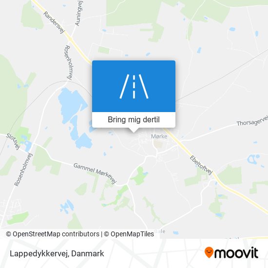 Lappedykkervej kort