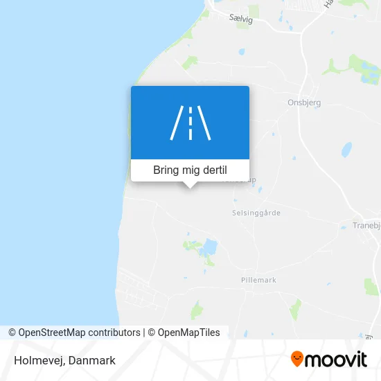 Holmevej kort