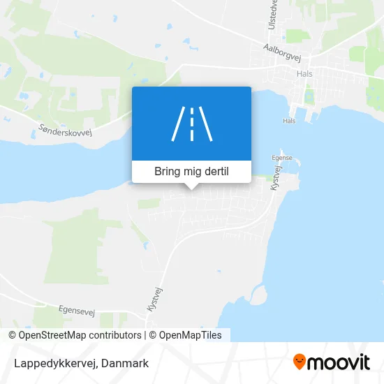Lappedykkervej kort