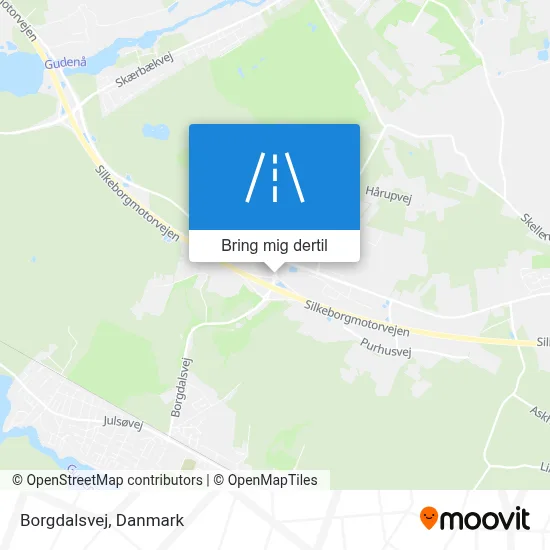 Borgdalsvej kort