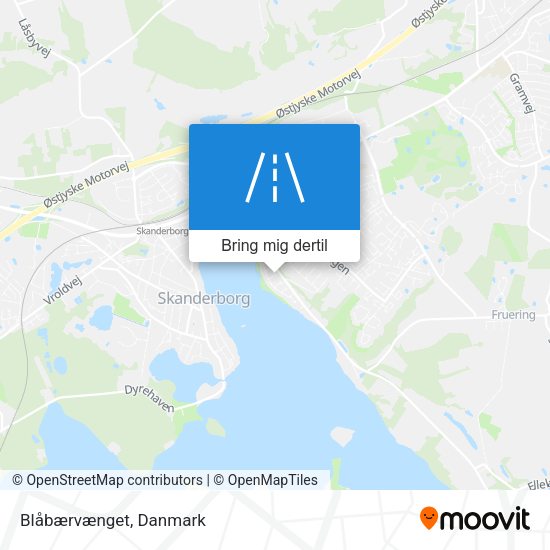 Blåbærvænget kort