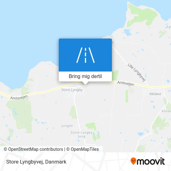 Store Lyngbyvej kort