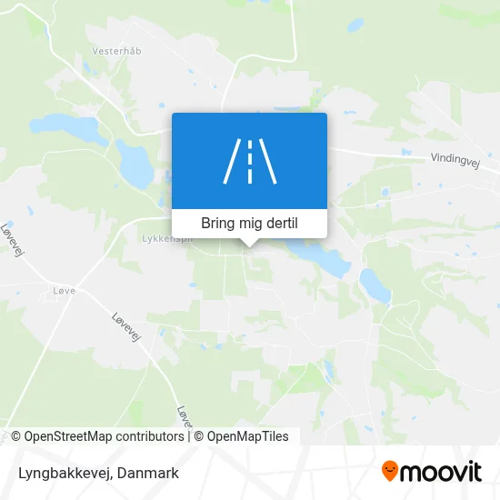 Lyngbakkevej kort