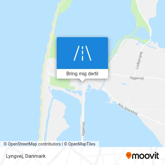 Lyngvej kort