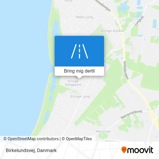 Birkelundsvej kort