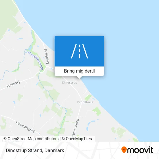 Dinestrup Strand kort