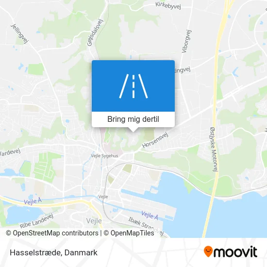 Hasselstræde kort