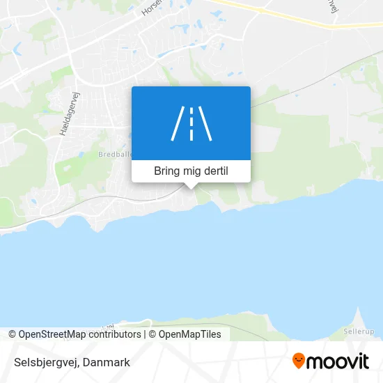 Selsbjergvej kort