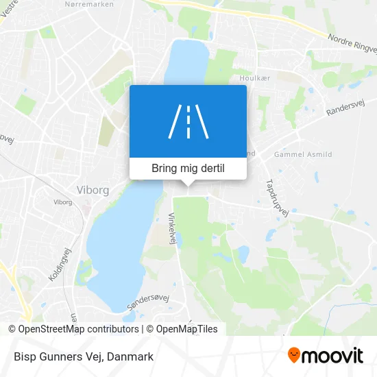 Bisp Gunners Vej kort