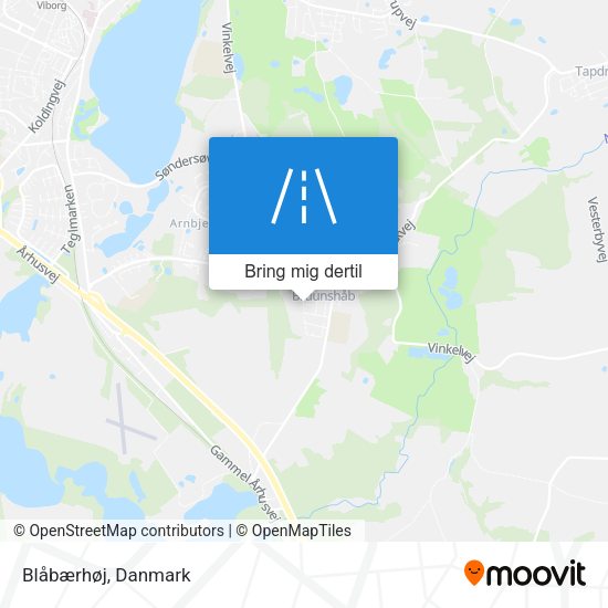 Blåbærhøj kort