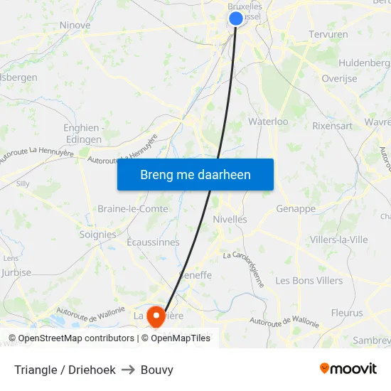 Triangle / Driehoek to Bouvy map