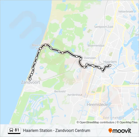 81 Bus Line Map