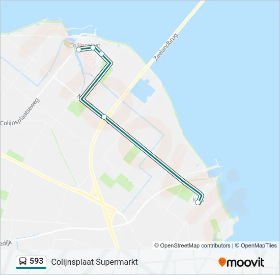 593 Bus Line Map