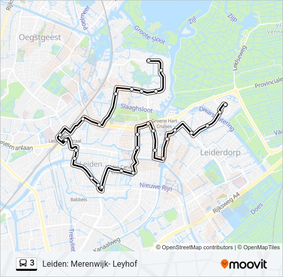 3 Bus Line Map