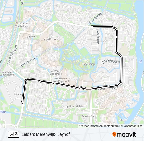 3 Bus Line Map