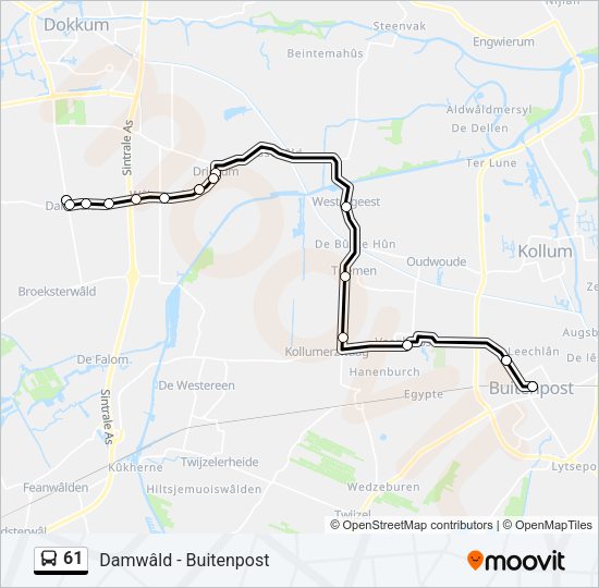 61 Bus Line Map