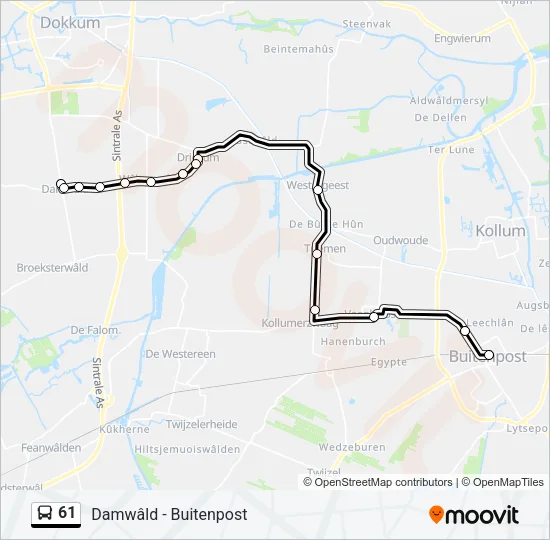 61 Bus Line Map