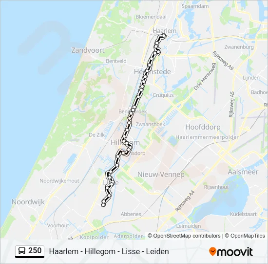 250 Bus Line Map