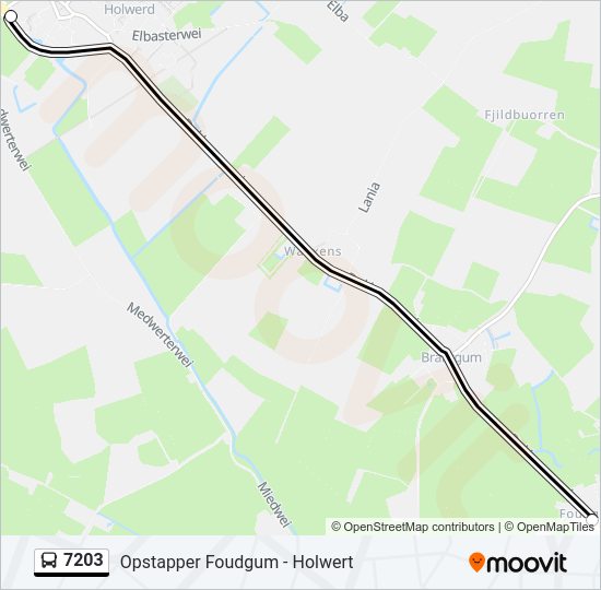 7203 Bus Line Map