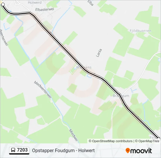 7203 Bus Line Map