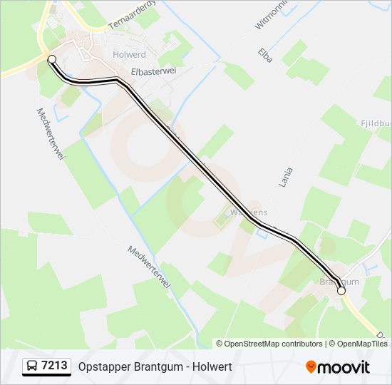 7213 Bus Line Map