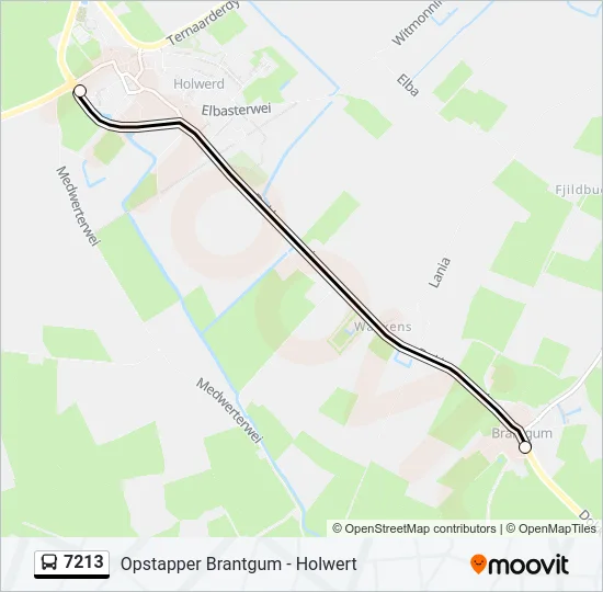 7213 Bus Line Map
