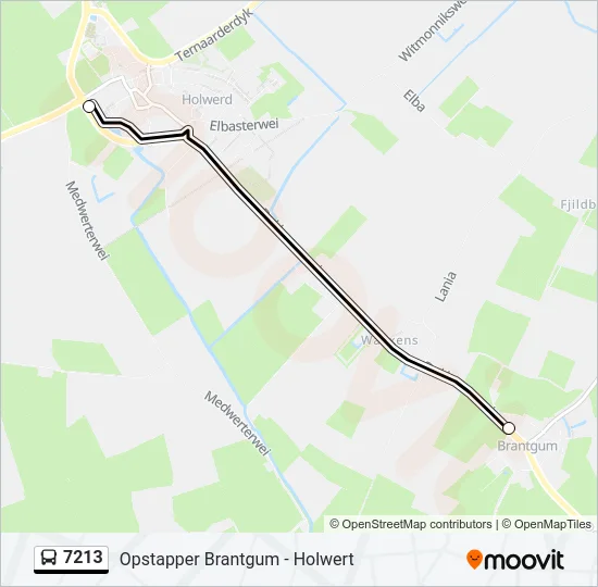7213 Bus Line Map