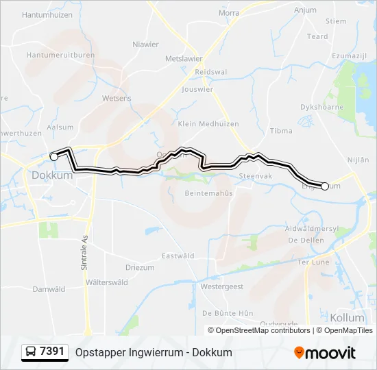 7391 Bus Line Map