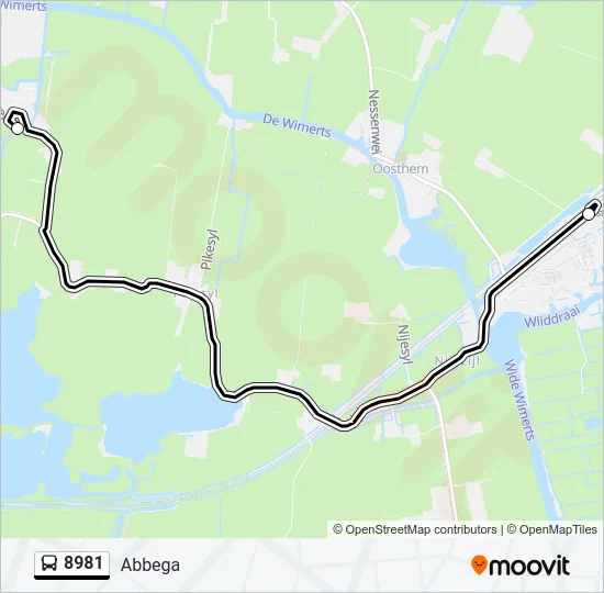 8981 Bus Line Map