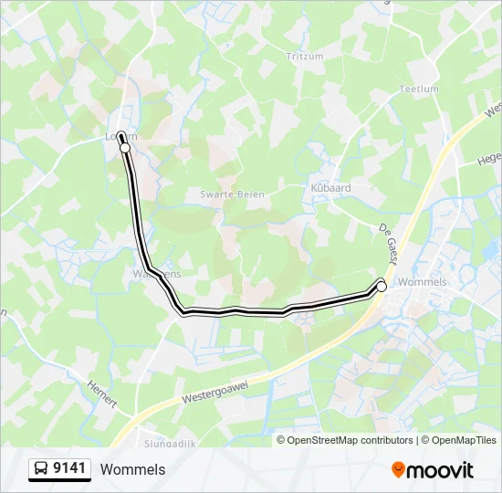 9141 Bus Line Map