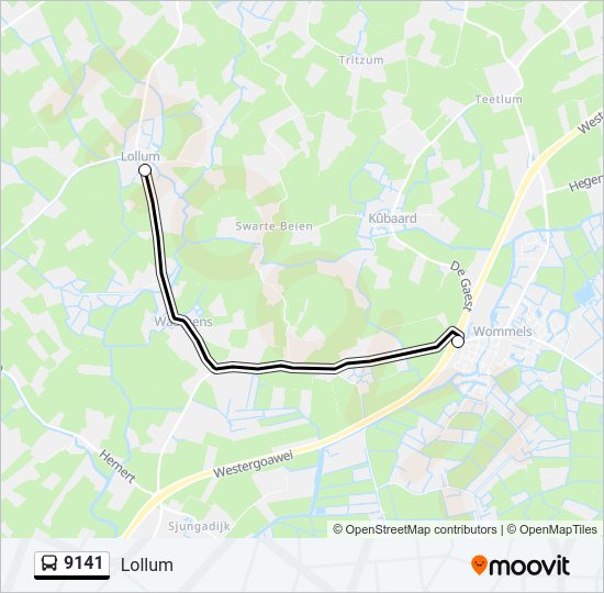 9141 Bus Line Map