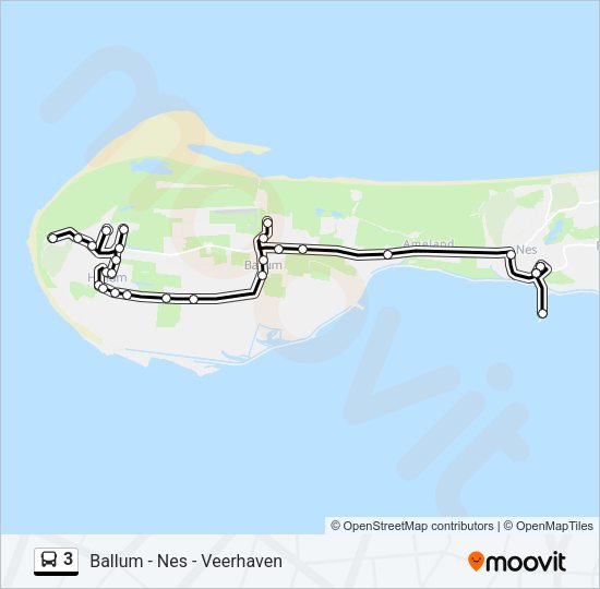 3 Bus Line Map