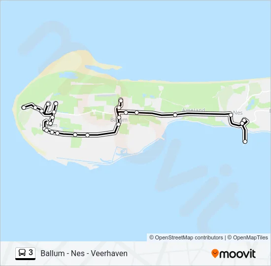 3 Bus Line Map
