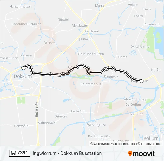 7391 Bus Line Map