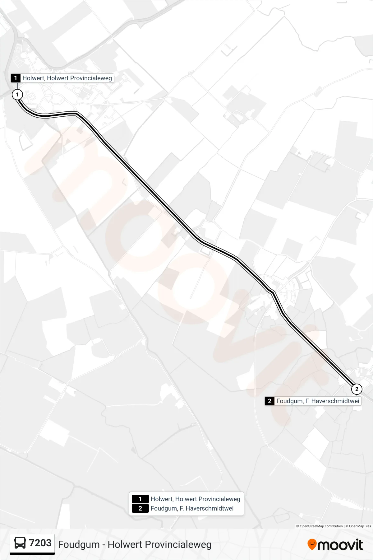 Lijn 7203 (bus, Foudgum): route en haltes op de kaart